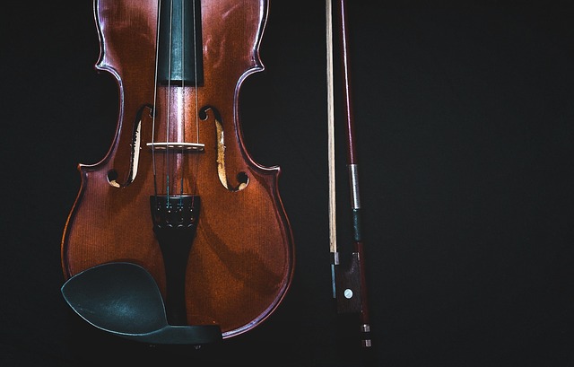 Violoncelo is the best. 